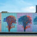 Numbers and Trees: Cincinnati Cottonwoods