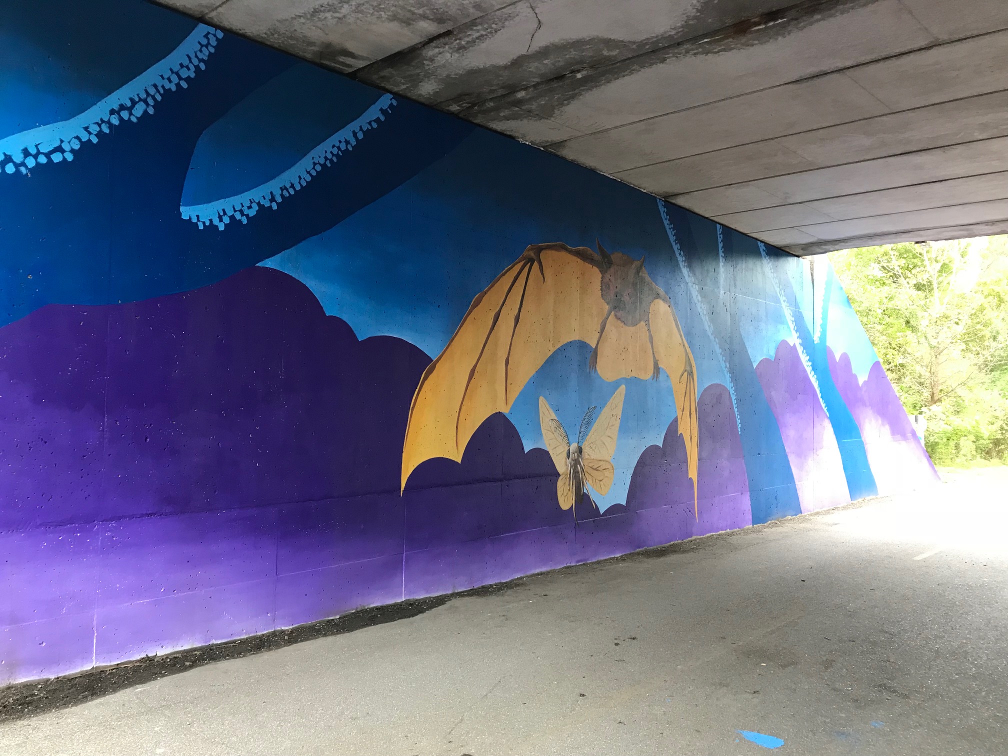 Endangered Species Mural Project: Indiana Bat