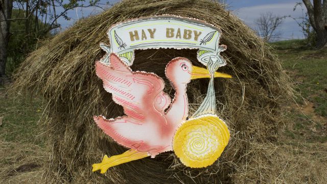 Hay Baby by Batres Gilvin.
