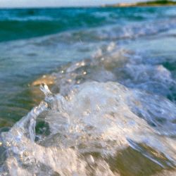 Splash by Asa Featherstone, IV