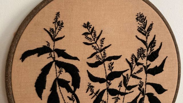 Epazote by Arynn Blazer