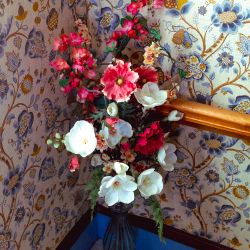 Indoor Bloom by Asa Featherstone, IV