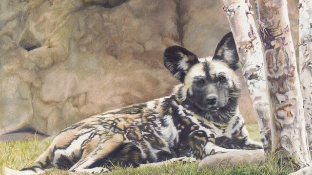 African Queen by Deb Marvin