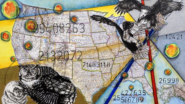 Divisus by Jamie Schorsch