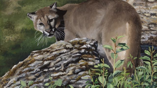 Mountain Princess by Deb Marvin