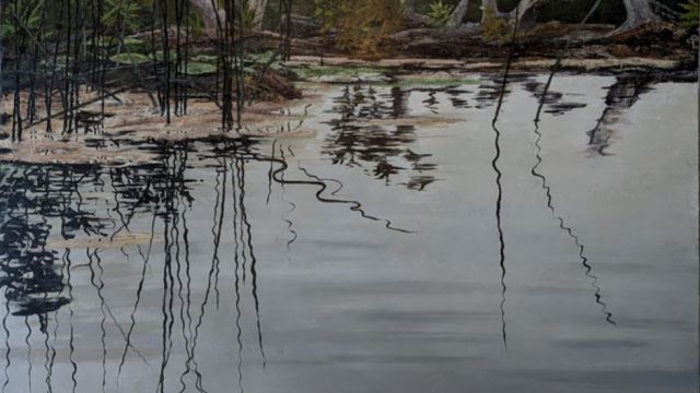 NORTHERN LAKE_MI_OVERALL 48X48 by Patrick Landis