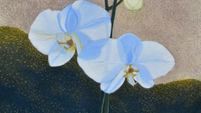 Orchids at the Market by Noelle Roberts