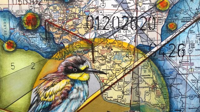 Pandemic Nexus by Jamie Schorsch