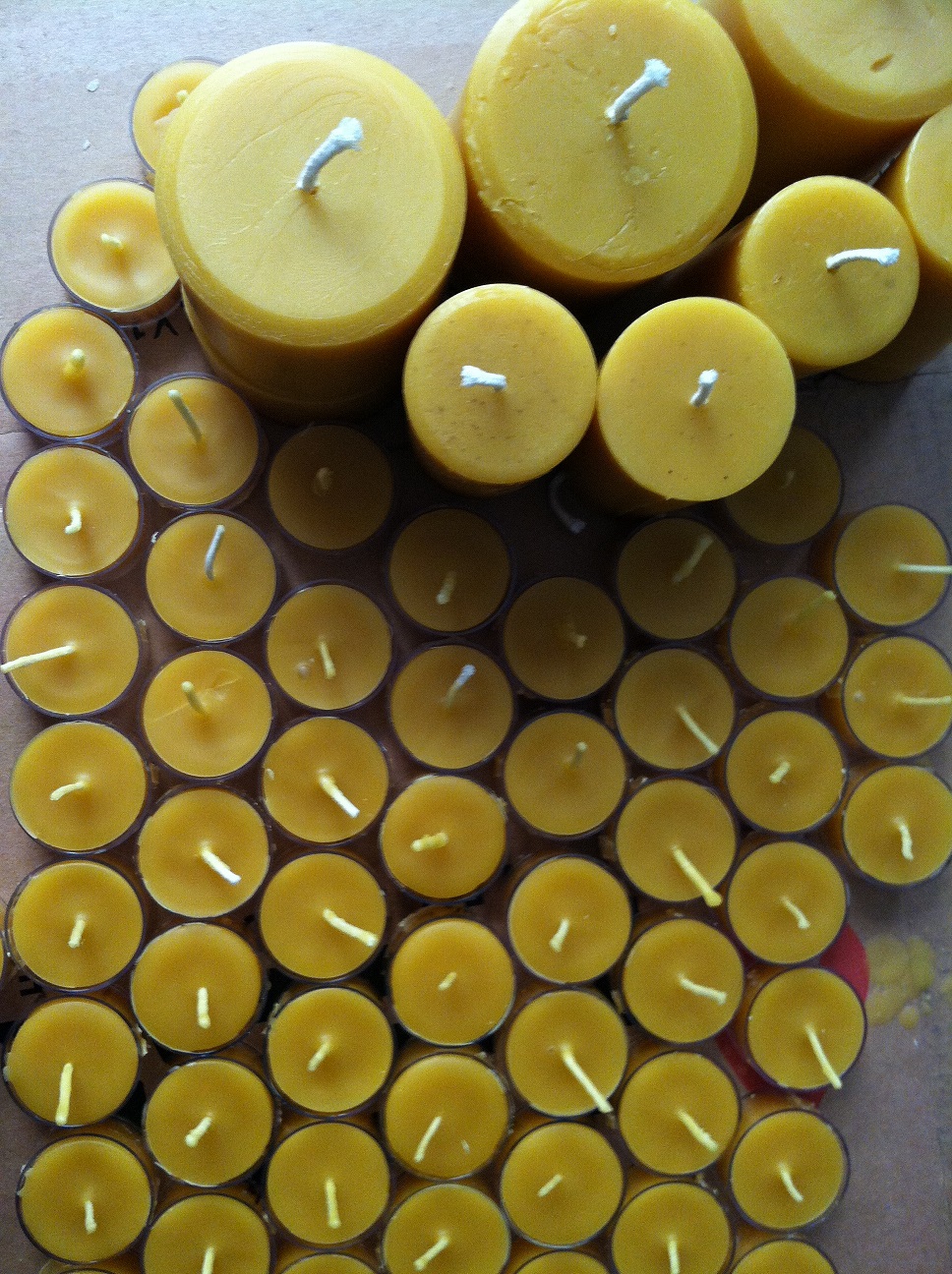 Ginger Bee Limited